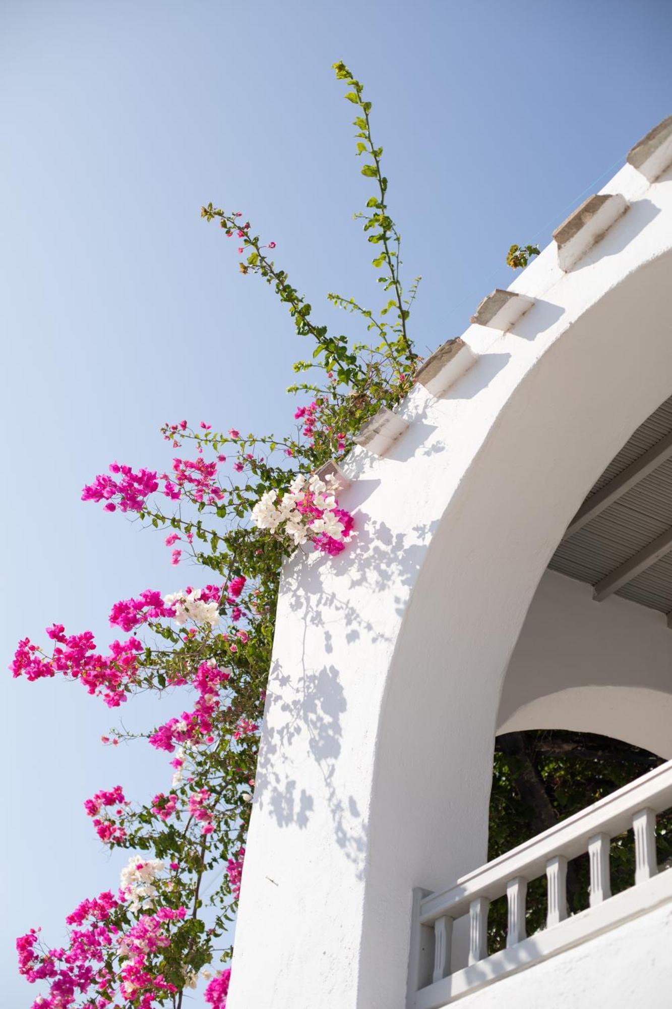 Apostolis Windmill Psarou (Mykonos) Exterior foto