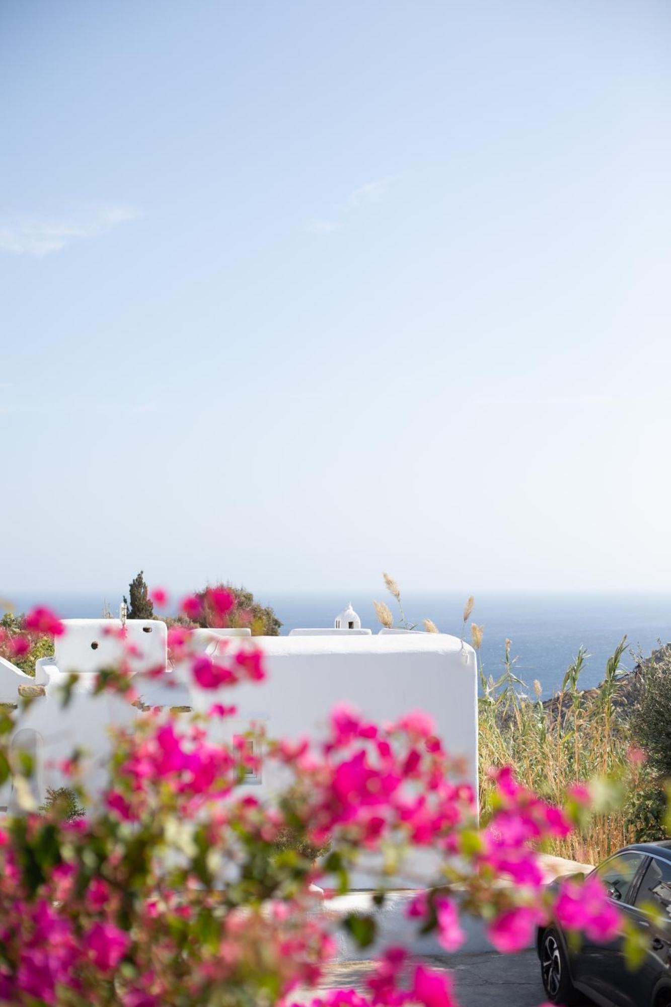 Apostolis Windmill Psarou (Mykonos) Exterior foto