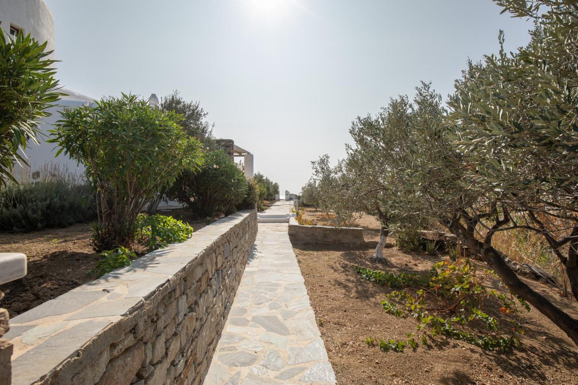 Apostolis Windmill Psarou (Mykonos) Exterior foto